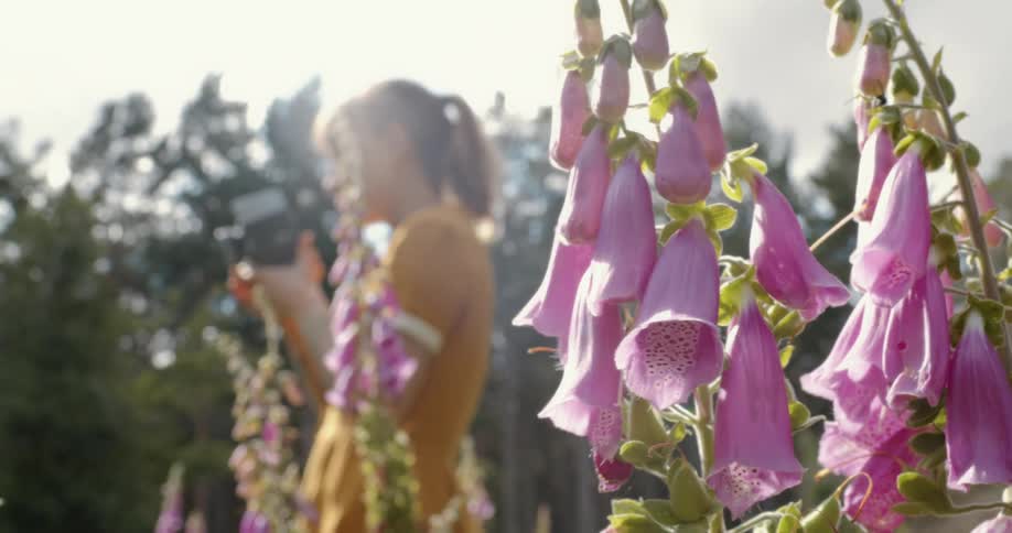 A girl stands on a field with flowers taking pictures with a camera