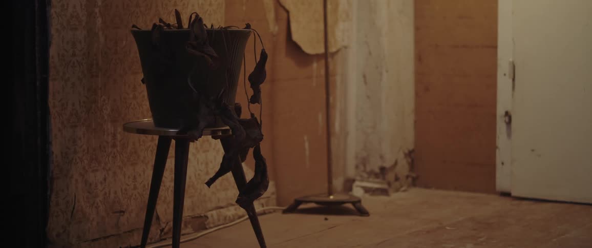 A dead potted plant over a stool in a dimly lit abandoned apartment