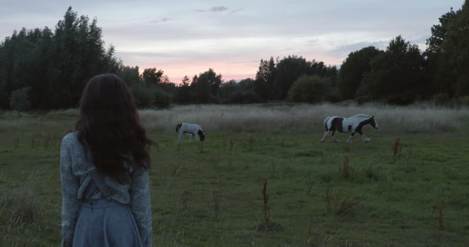 A girl watches horses walking on a field at sunset