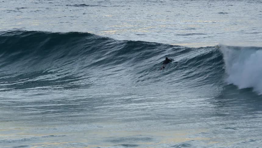 Surfer swimming over a surfboard goes over an ocean wave near the coast at evening