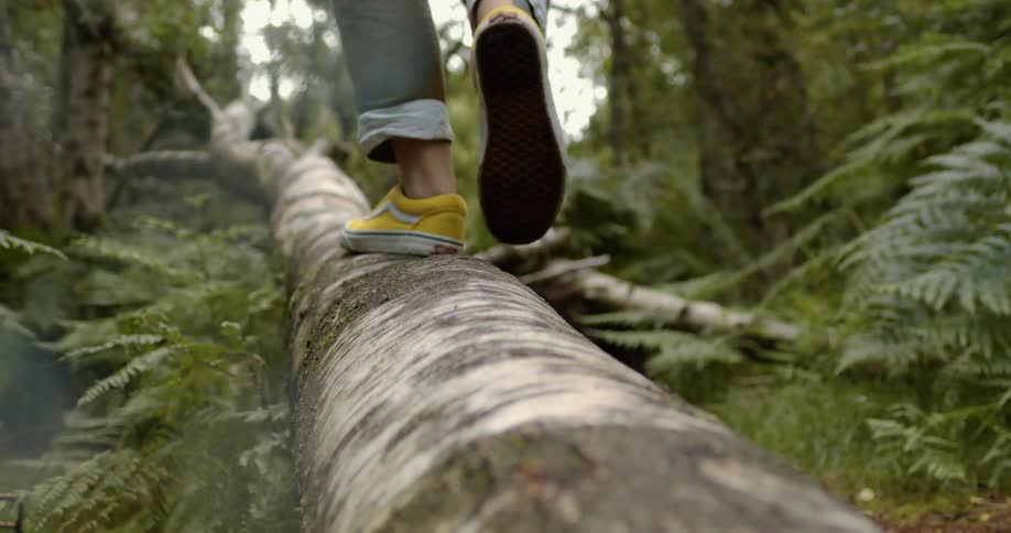 Young person wearing bright yellow shoes walking over a fallen tree in the forest