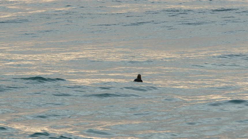 A person surfing in the middle of the ocean