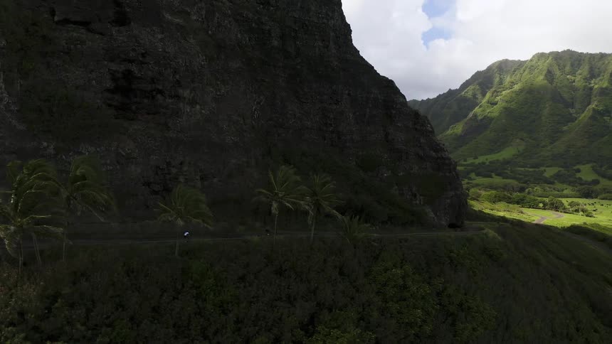 People bicycling along a tropical mountain with more mountains in the distance