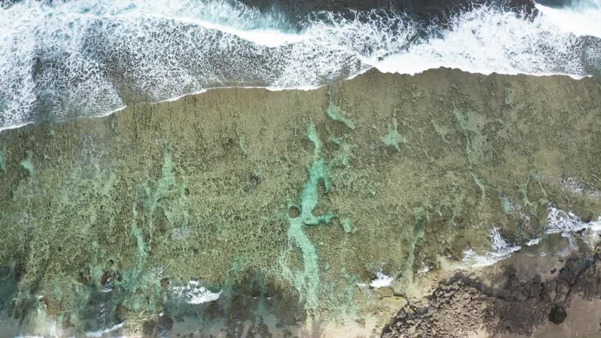 Aerial shot of a coast