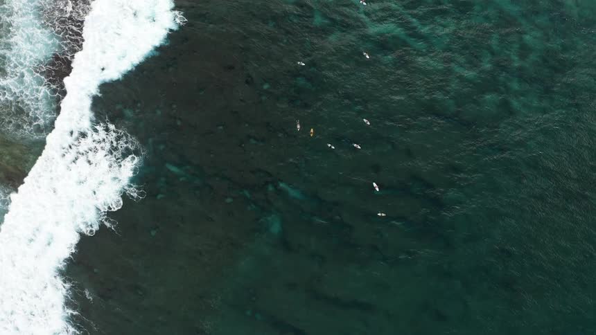 A group of people are surfing in the ocean water