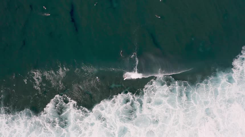 Aerial view of people swimming out in the ocean on surfboards while one person rides a wind wave at daytime