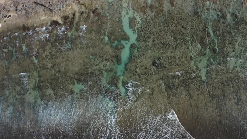 Aerial shot of an ocean and beach