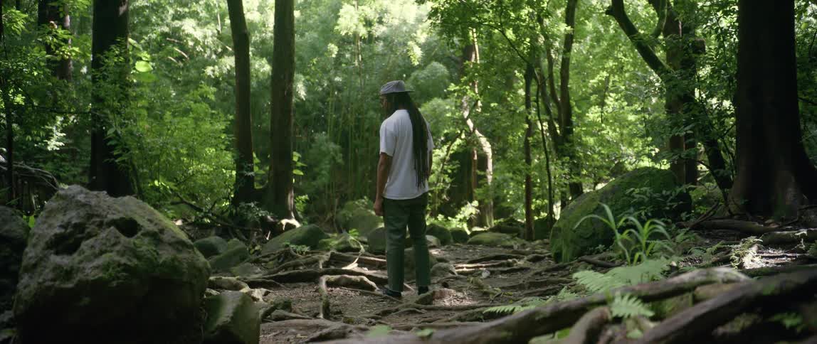 A man with dreadlocks stands in the middle of a forest during the day