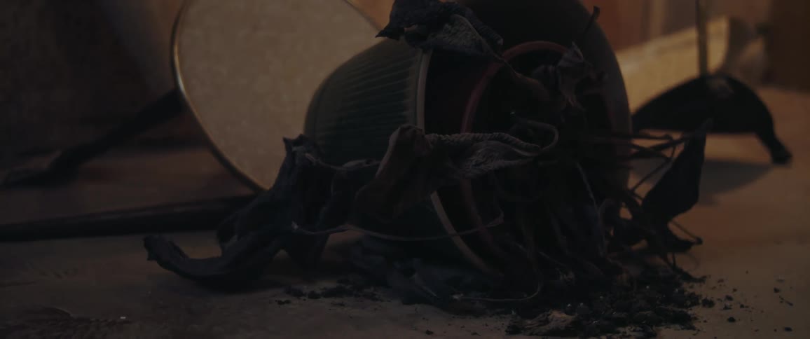 A potted plant has fallen to the floor from the stand it was on