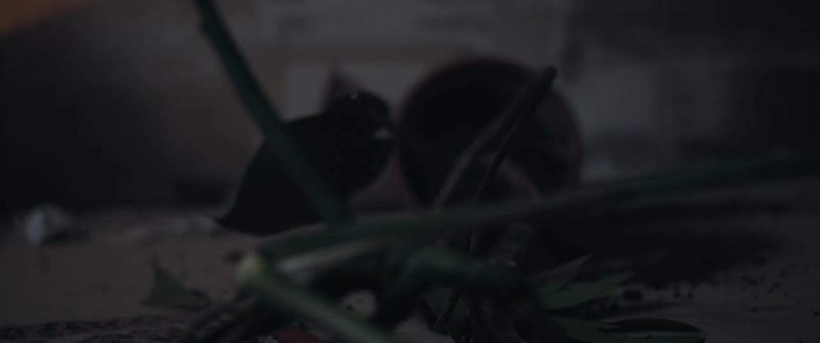 A plant in a pot falls over onto the floor inside of a messy room where lights are flashing