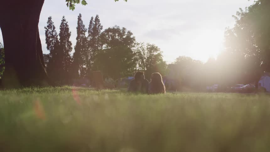 Young couple laying over the green grass near a tree at sunset
