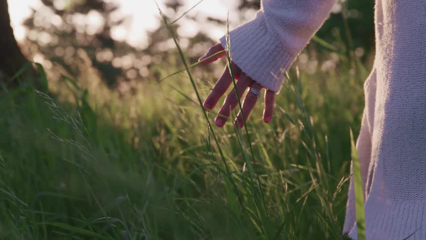 Hand of a young girl brushing the tall grass blades near the trees at sunset