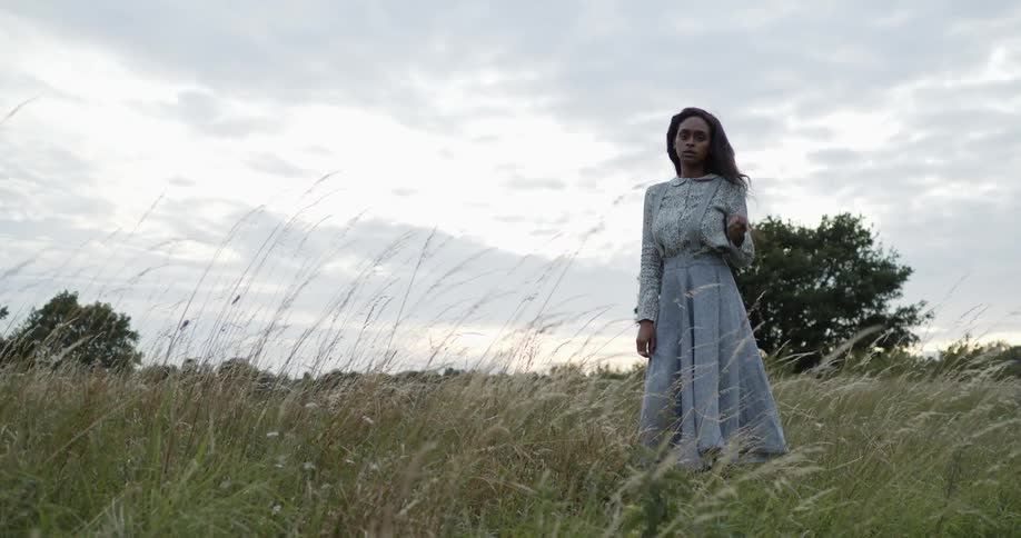 A woman stands in a grassy field with her dress blowing in the wind