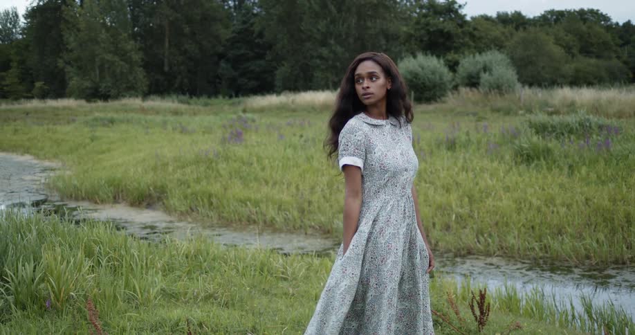 Long haired young woman in a long dress standing next to a creek in the grassland