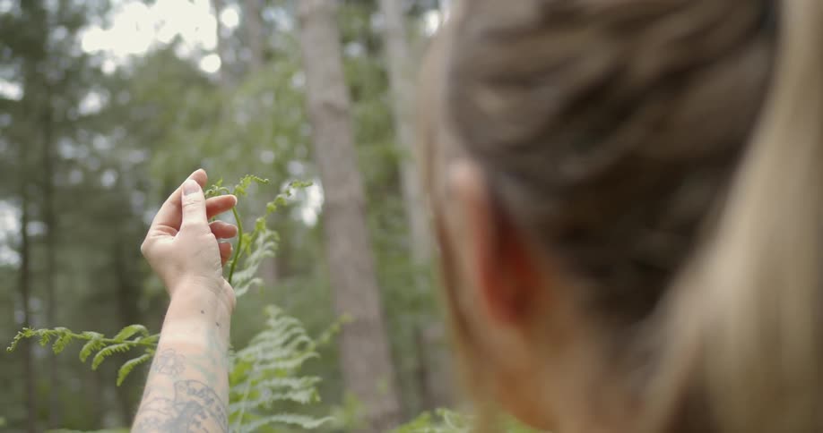 A woman is examining a plant in the forest