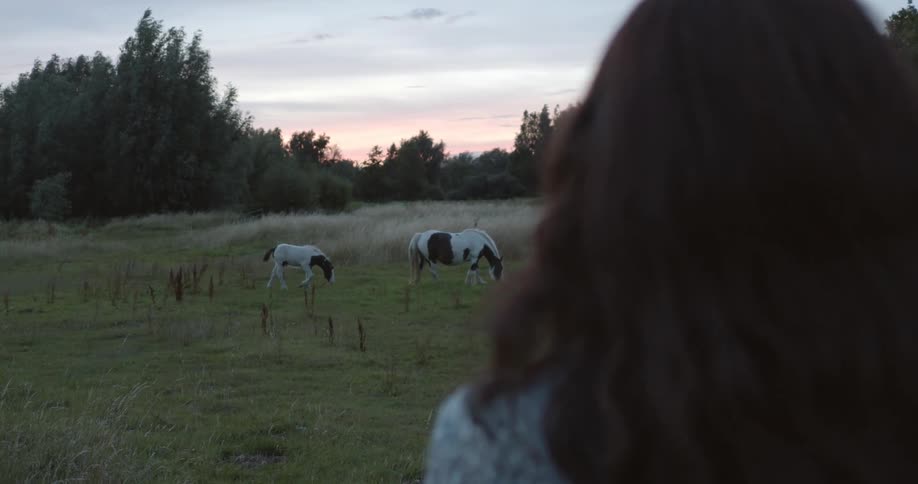 A woman stands on a rural field watching horses graze at sunset