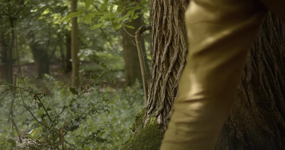 A man wearing khaki pants walks past a large tree in a forest