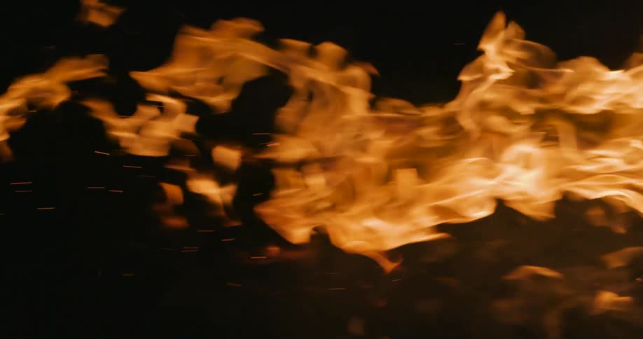 A fire burning on branches and flamesmoving to the left