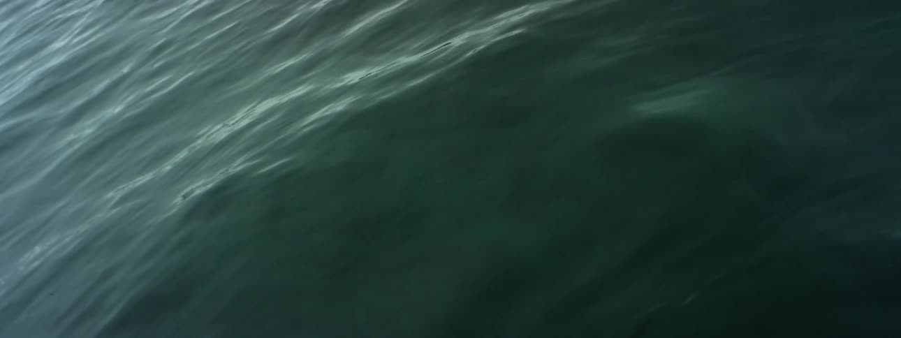 Water rippling with gentle waves