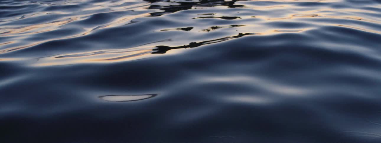 Ripples and waves in the ocean