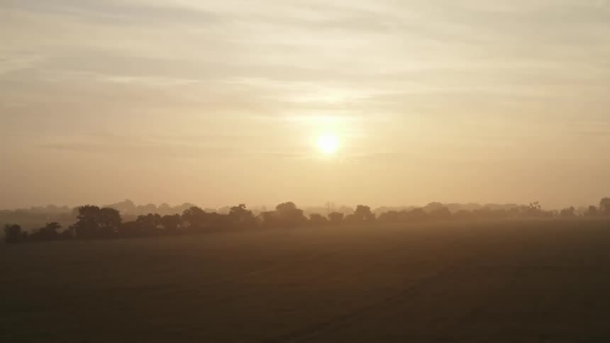 Bright sunset in an orange hazy sky with silhouettes of trees