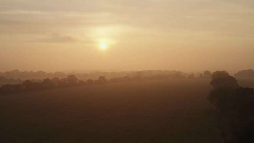 Sunset in a hazy orange sky with silhouettes of trees on the horizon