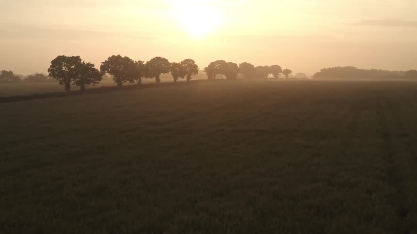 Aerial shot of a field at dawn