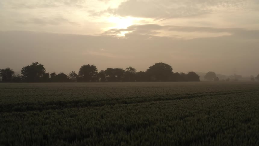 A grassy field with trees in the distance on a cloudy day