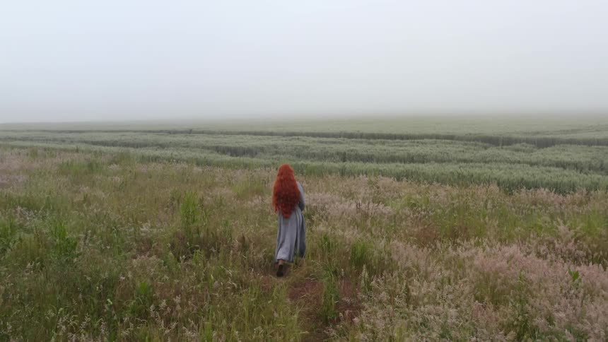 Long haired redhead woman wearing a blue long dress walking on a field