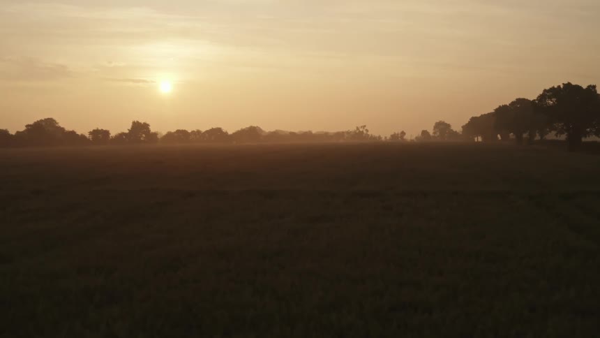 Sunset in a hazy orange sky with silhouettes of trees on the horizon