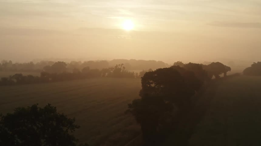 Aerial view of the sun rising over a field of grass where trees are lined in rows