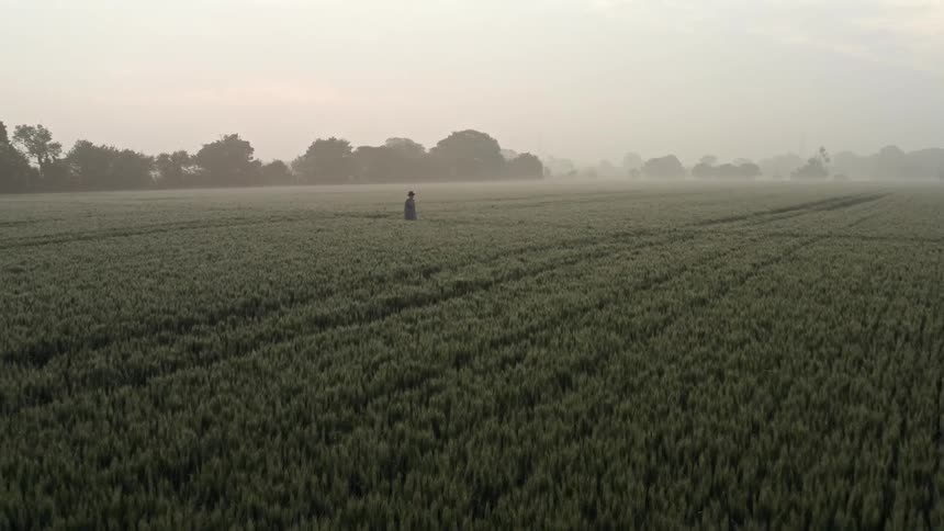 Woman wearing hat and dress walking through field of crops with trees in the distance on a hazy day