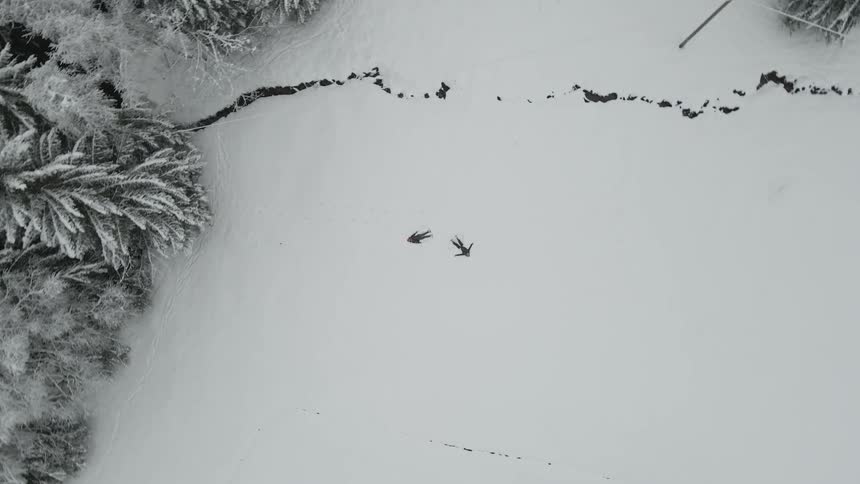 A pair of people lying in a field of snow uses their limbs to make snow angels