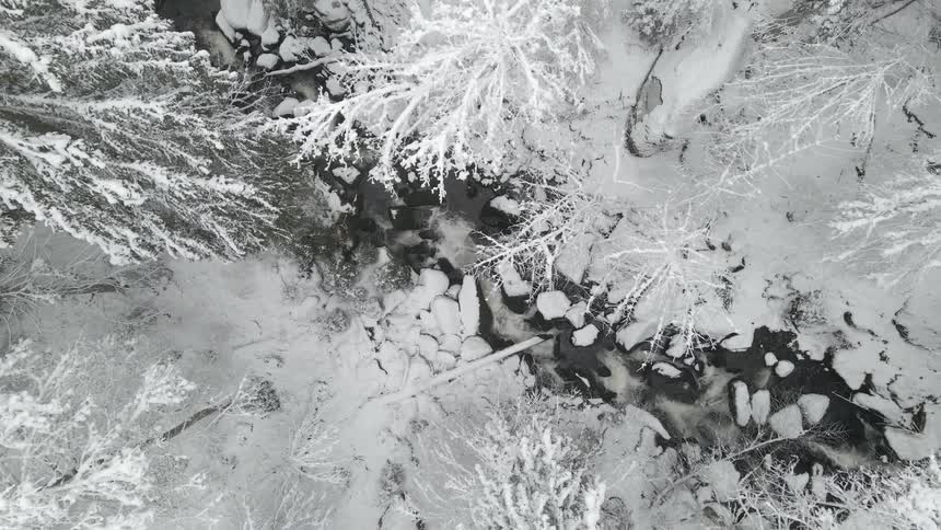 Snow covered forest with stream flowing and snow covered trees on a winter day