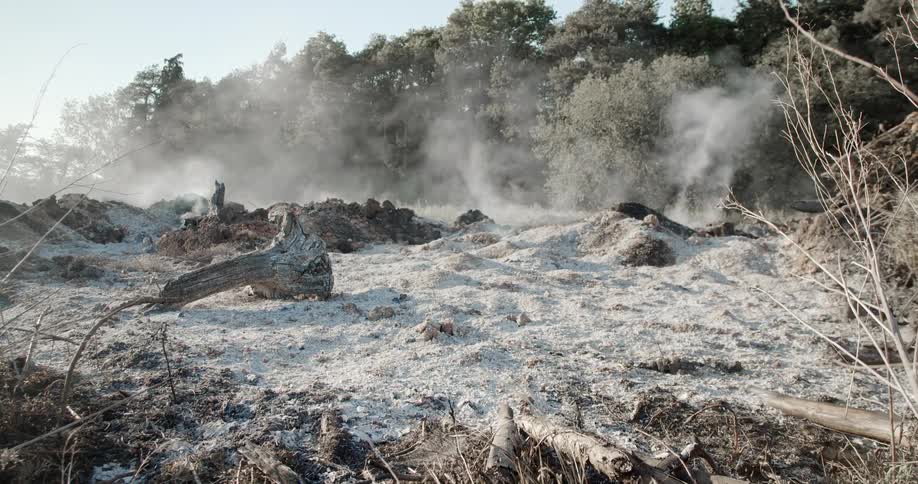 An open area with fallen trees ash and smoke surrounded by a forest