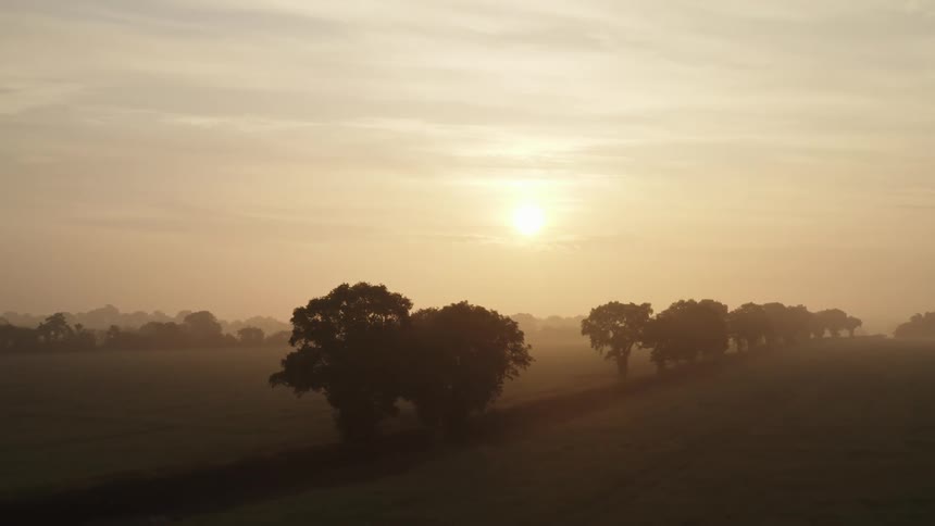 Sunset in a hazy orange sky with trees in the foreground and on the horizon