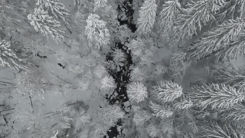 A frozen creek runs through a snow covered forest