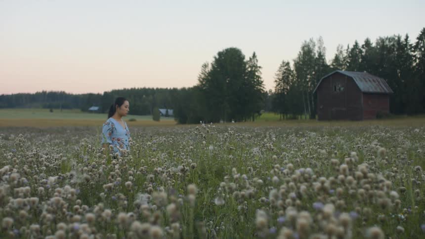 A young asian woman walks through a field of tall flowers in a farmland in the evening