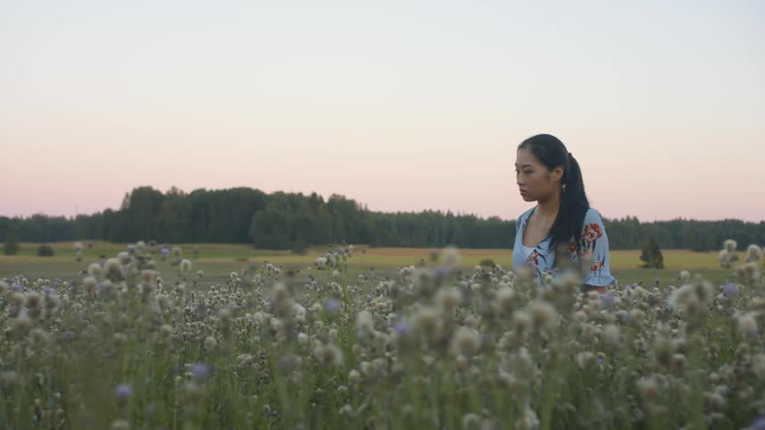 A woman is walking in a field of flowers at dusk