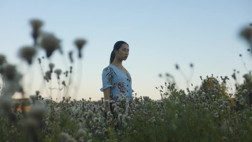 A woman stands outside in a field of wildflowers at dusk