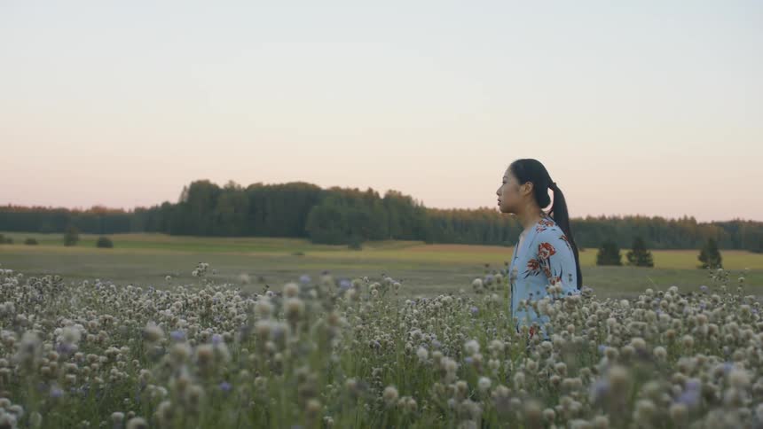 A young asian woman walks through tall flowers in a grassland in the evening