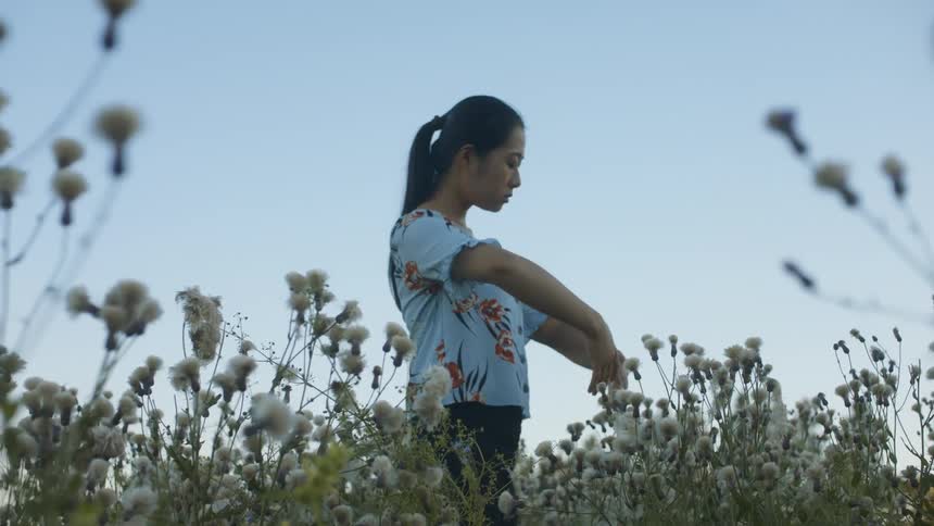 A young woman stands in a field of flowers and raises her arms up and looks at her hands