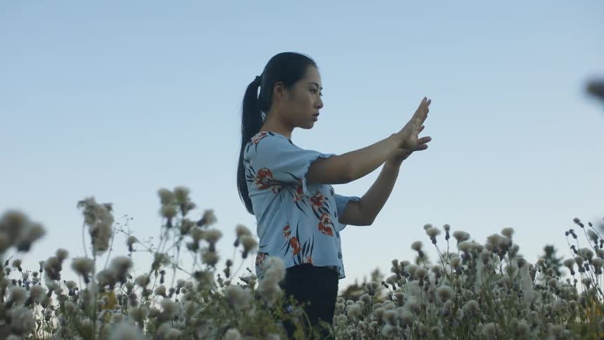 A woman is standing in a field of flowers