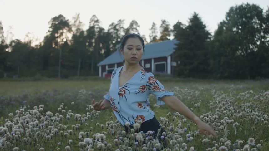 A woman is standing in a field of flowers at dusk