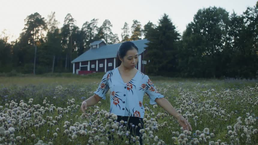 An asian woman stands in a field with flowers in front of a house moving her arms over the flowers at dusk
