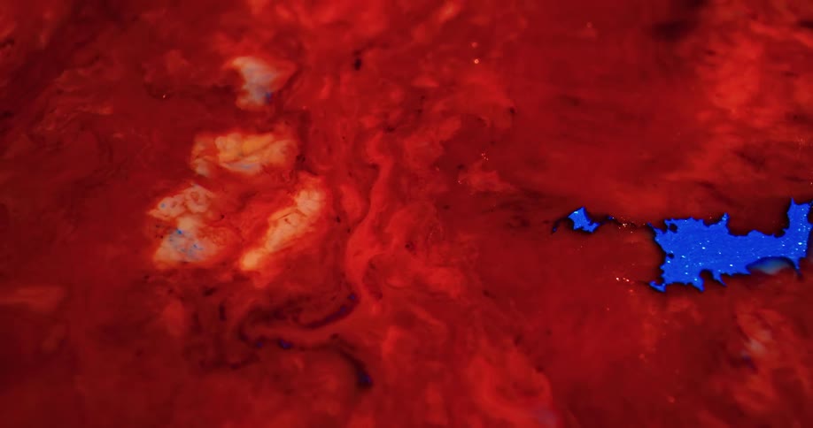 Chaotic speed up footage of colored red ink flowing in abstract patterns