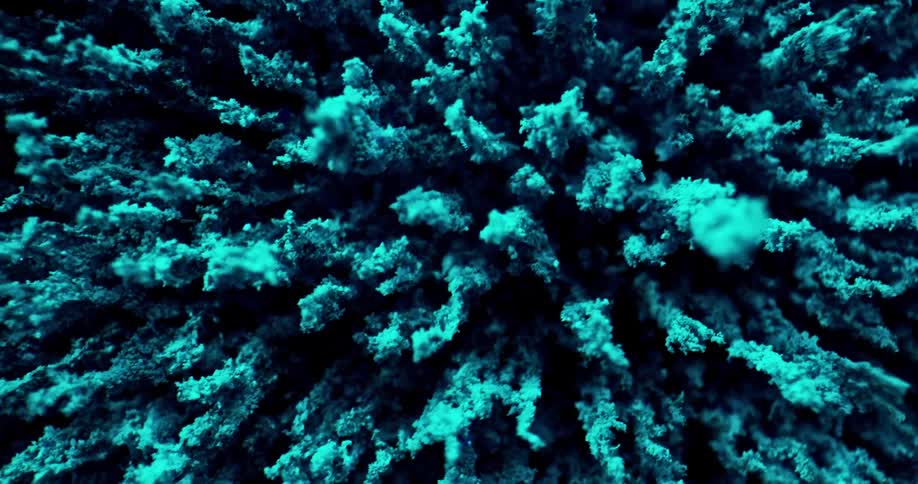 Some odd looking ferromagnetic powder forms stalks as it is attracted to a magnet