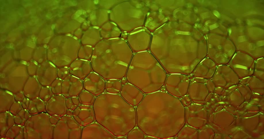 Close up of a web of soap bubbles under a green light