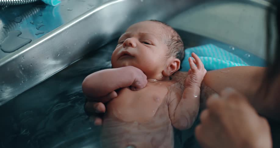 Newborn baby being washed on a tub by a nurse in a hospital