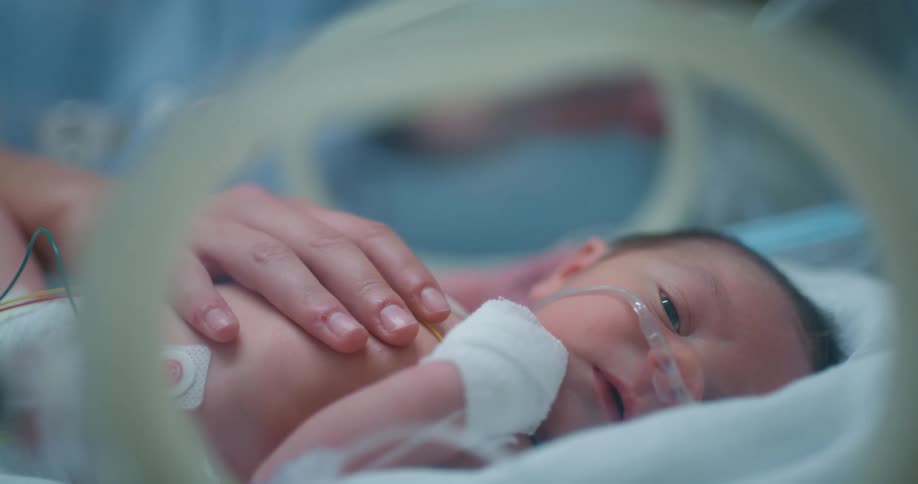 A person putting their hand on a baby in the hospital laying on a bed with tubes in his nose